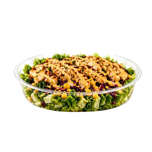 هاني ماستر تشيكن سلط